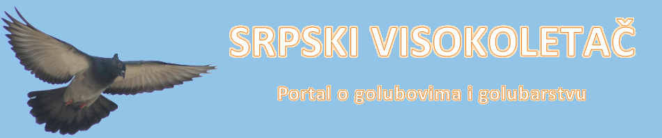 SrpskiVisokoletac.com